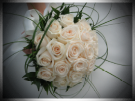 Noleggio Auto per Matrimonio a Bari, Brindisi, Lecce, Taranto, Ostuni